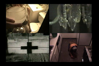 Glass House thumbnail