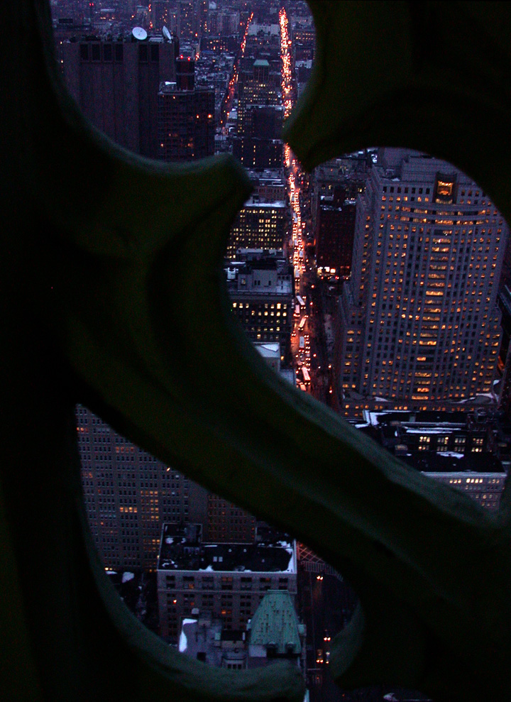From the Woolworth Spire 1